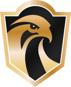 Falcon Roofing and Solar logo