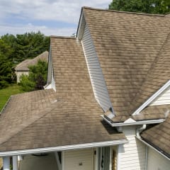 Medium tan rooftop with dark coloration on the shingles. 