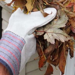 gloved hand removing leaves from white gutters on a red roof
