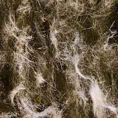 Närbild av PAROC Stenull