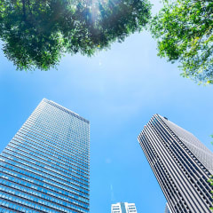 Looking up through trees at clear blue skies in a city