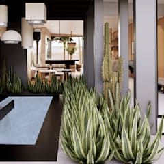 Modern interior courtyard featuring a sleek black reflecting pool surrounded by tall green succulents and cacti, with pendant lighting overhead and open-concept spaces showcasing natural wood walls and minimalist design.
