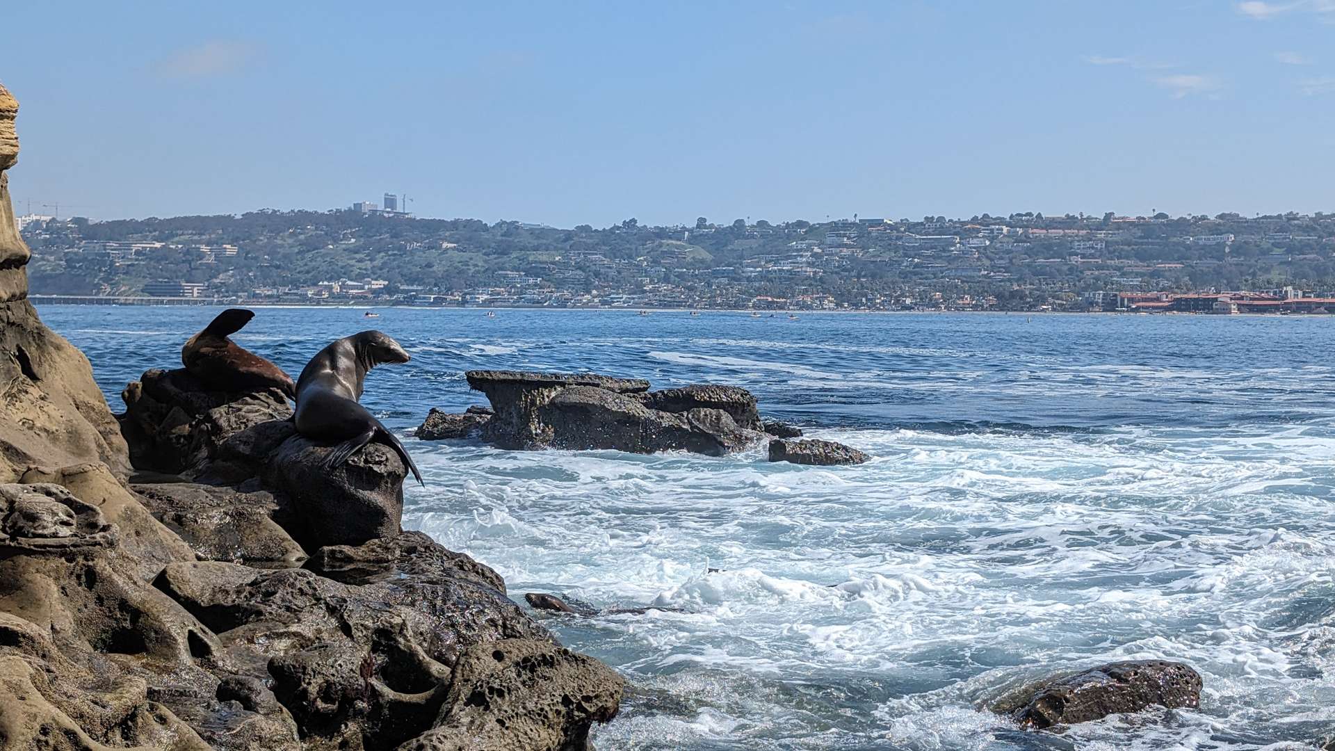Two sea lions resting on rugged coastal rocks with ocean waves crashing and a distant shoreline under a clear blue sky.