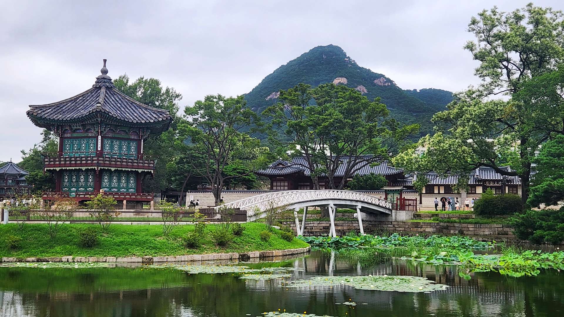 Traditional Korean pavilion beside a pond with lotus plants and a white arched bridge, backed by a green mountain.