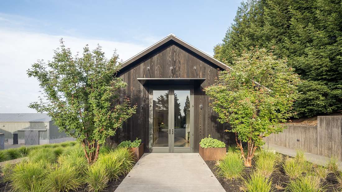 Contemporary home exterior with dark wood siding, pitched roof, and glass double front doors framed by minimalist metal awning, surrounded by landscaped garden featuring ornamental grasses and trees.