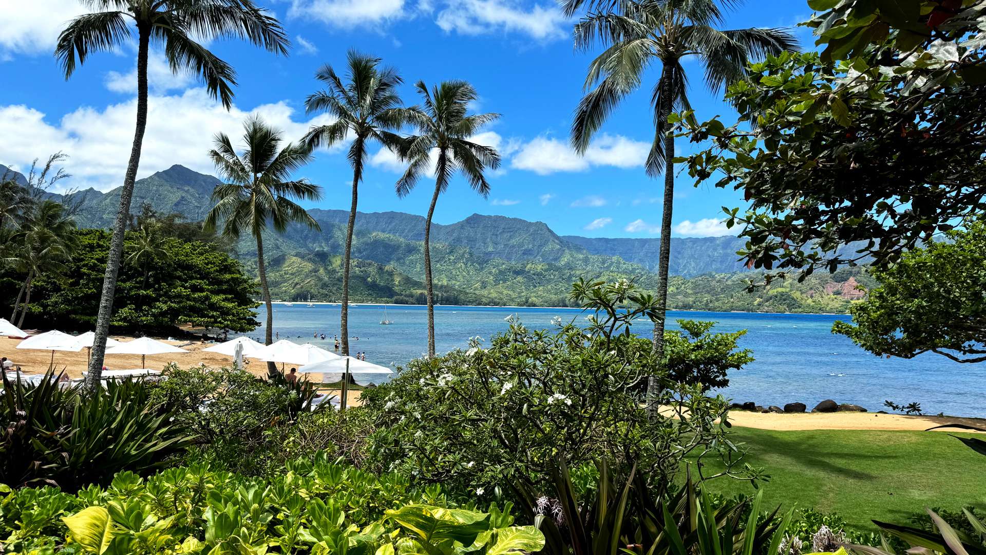 Lush tropical garden with palm trees overlooking a sandy beach, blue ocean, and green mountains under a bright sky.