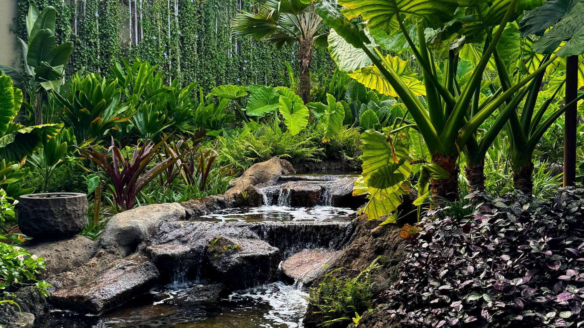Small waterfall flowing over rocks into a clear pond surrounded by lush tropical plants and greenery.