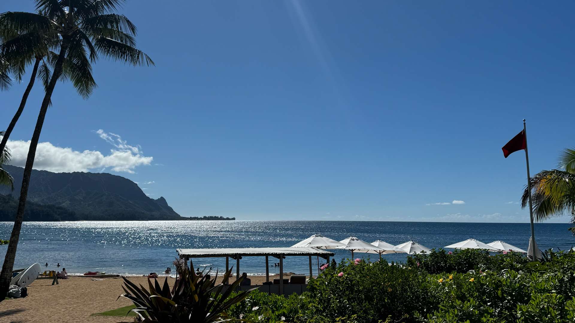   Sunny beach with palm trees, white umbrellas, and ocean view against clear blue sky and distant mountains.