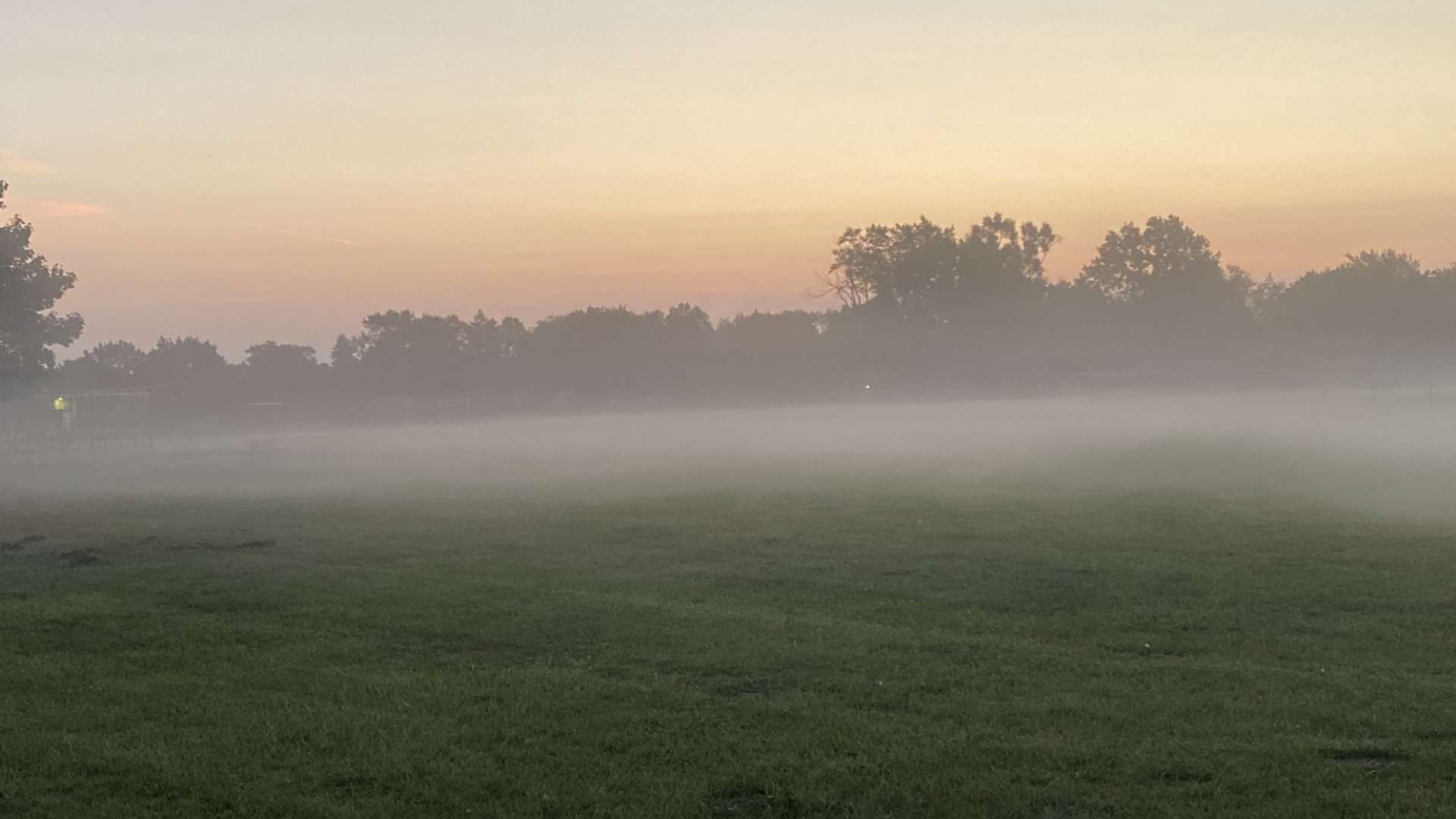 Foggy field at sunrise with green grass and silhouetted trees in the background.