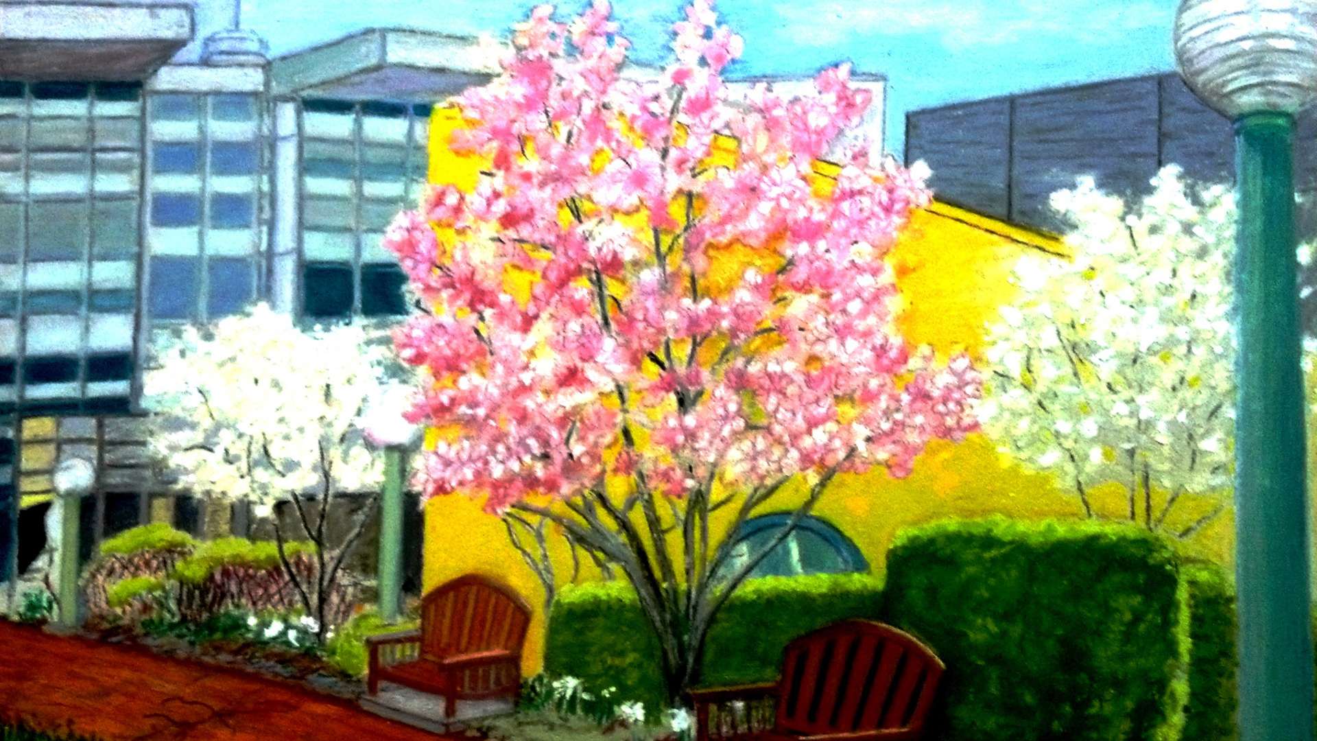   Colorful spring scene with blooming pink and white trees, benches, and modern buildings under a bright blue sky.