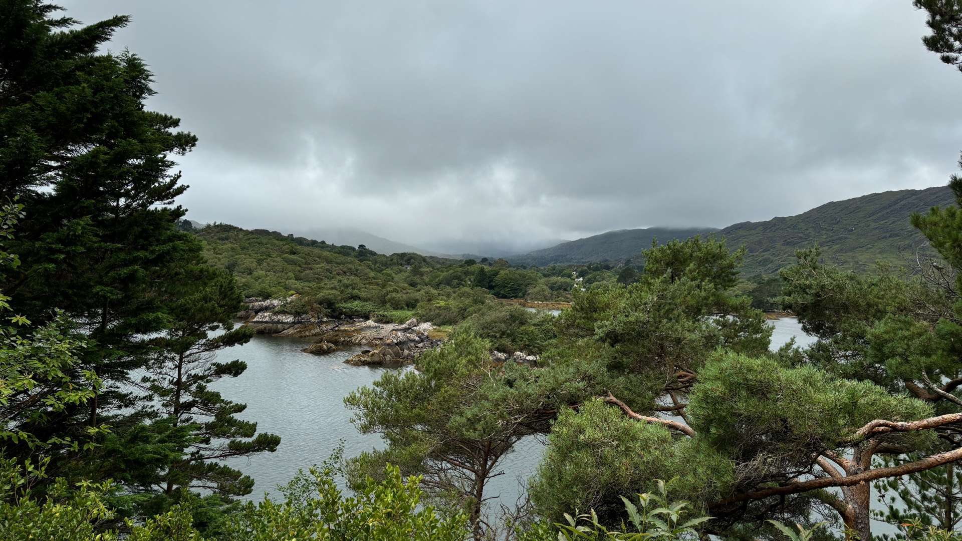 Lush green forest surrounding a calm river with rocky banks and misty mountains under an overcast sky.
