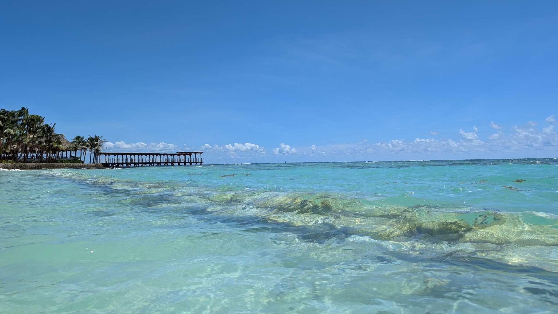 Clear turquoise ocean water with gentle waves near a tropical shoreline lined with palm trees and a wooden pier under a bright blue sky.