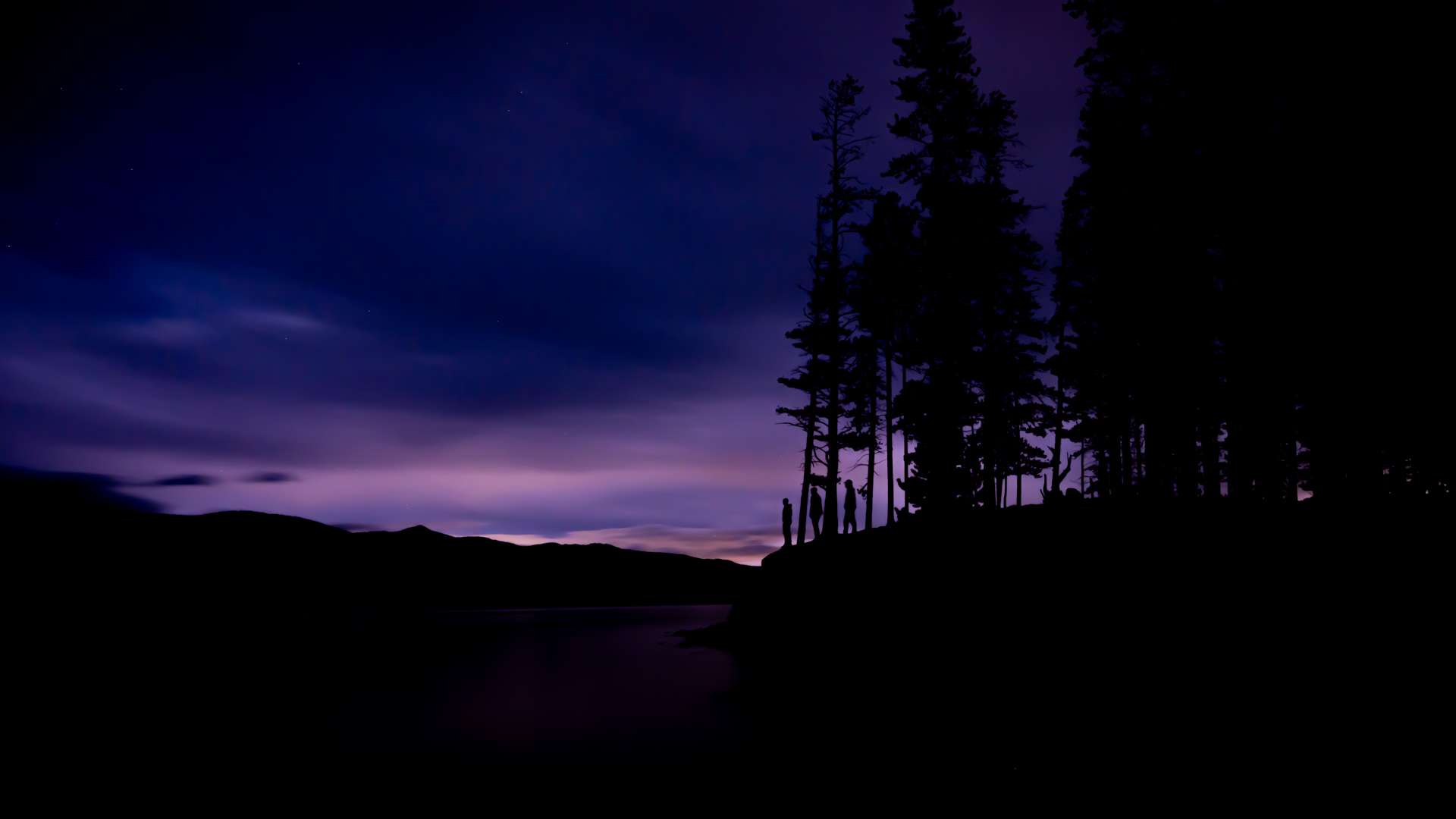   Silhouette of tall pine trees on a lakeshore against a deep purple and blue twilight sky with faint clouds.