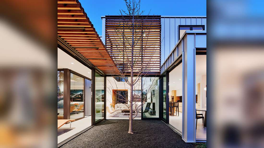 Modern courtyard design with central tree, floor-to-ceiling glass walls, and horizontal wooden slat pergola creating shade and architectural contrast.