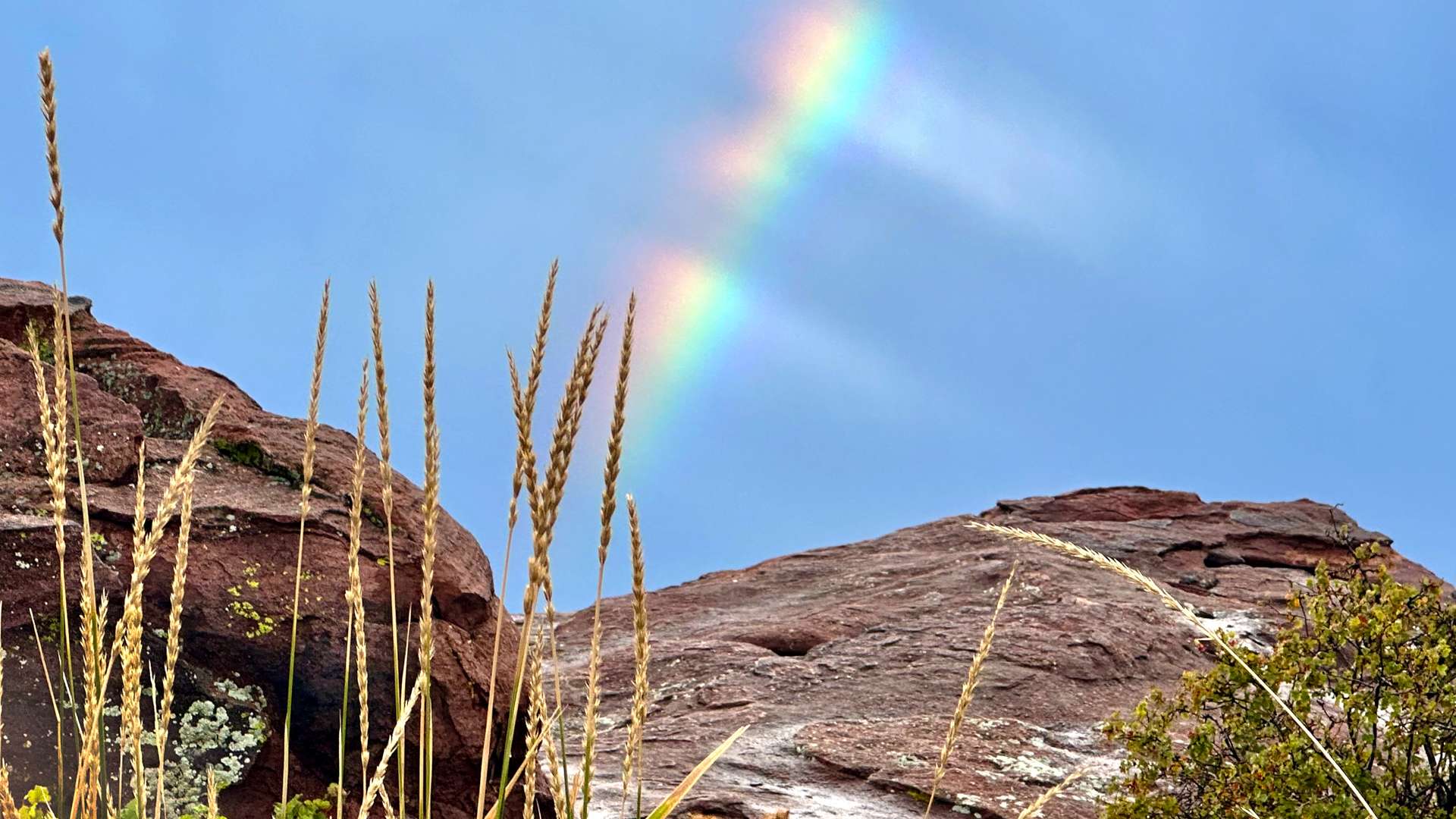   Rainbow appearing over red rock formations with tall grasses in the foreground under a clear blue sky.