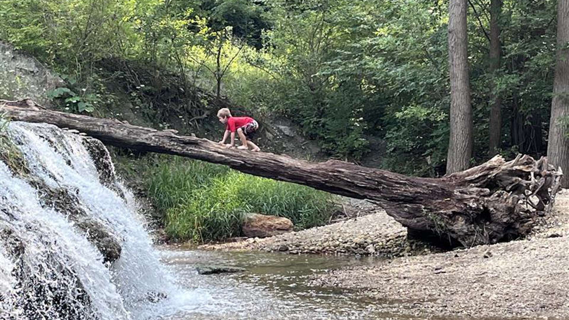 Child in a red shirt crawling across a fallen tree trunk positioned over a small waterfall and shallow stream, surrounded by dense green forest.