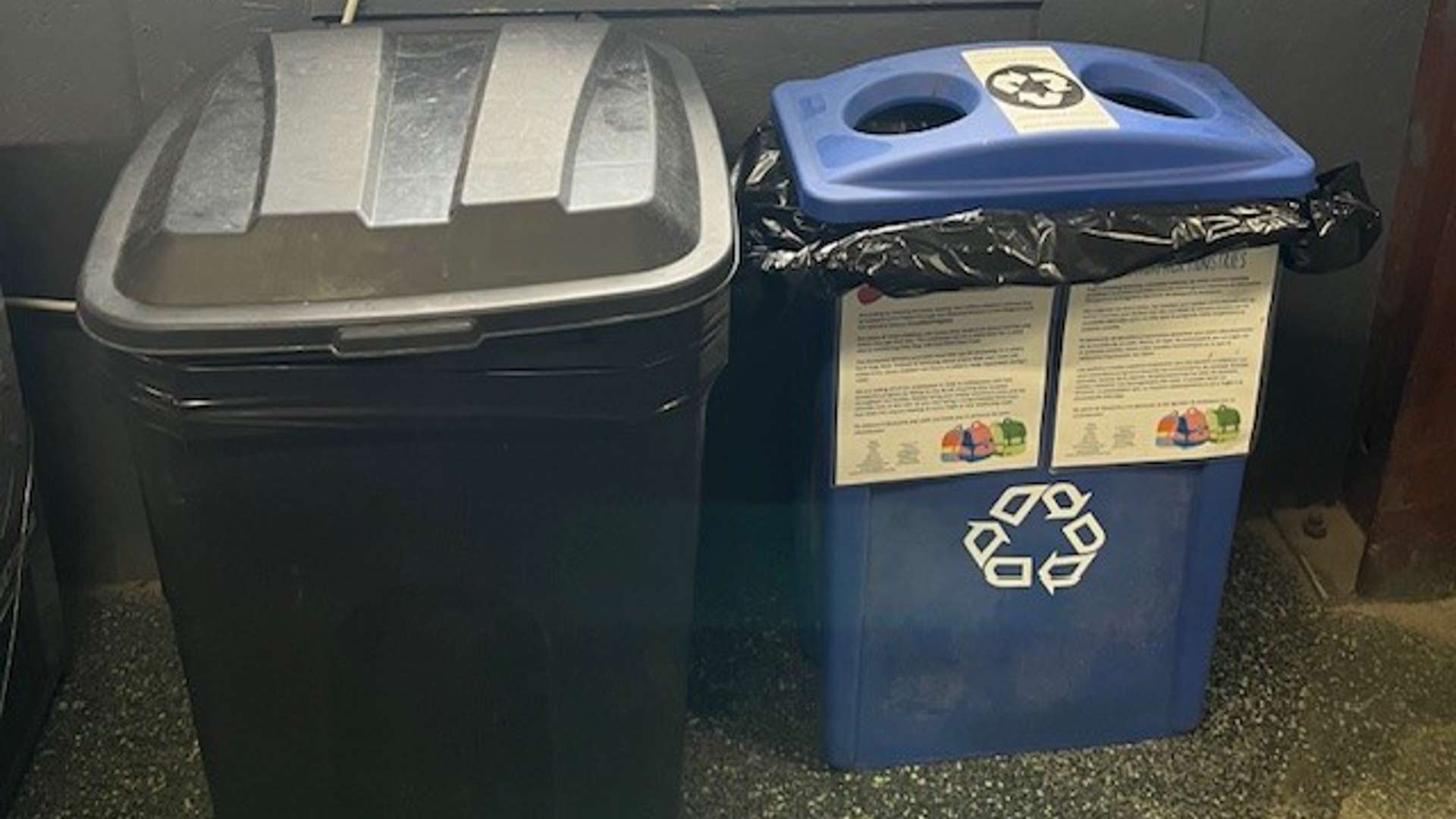 Black trash bin next to a blue recycling bin with dual circular openings and recycling symbol in an indoor setting.
