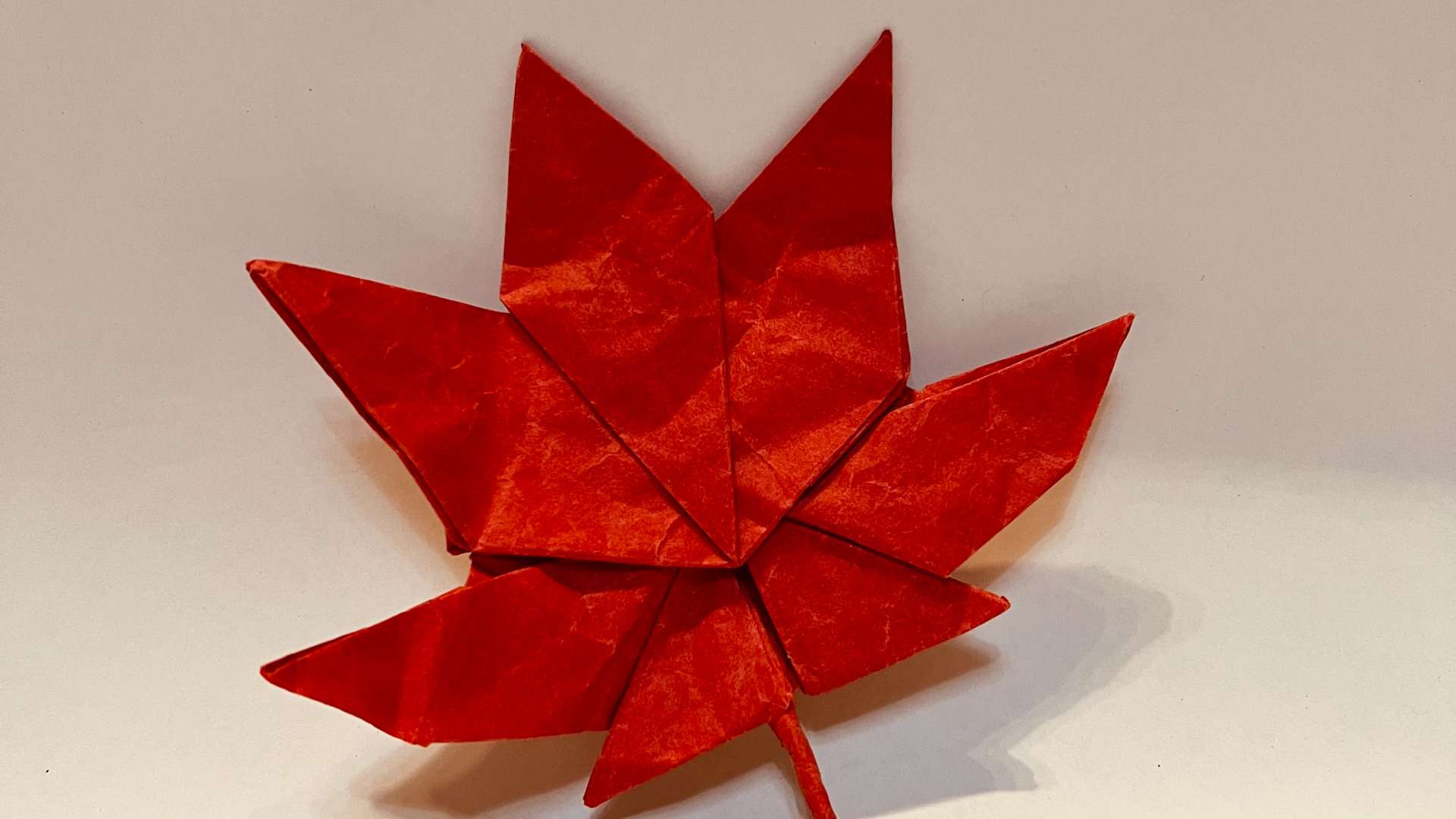   Origami maple leaf folded from red paper, displayed on a plain white background.