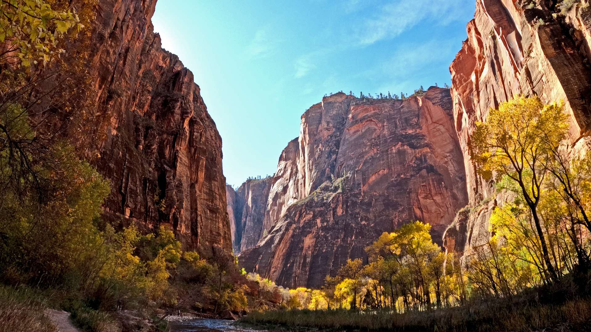   Scenic canyon view with towering red cliffs, autumn trees, and a river flowing under a clear blue sky.