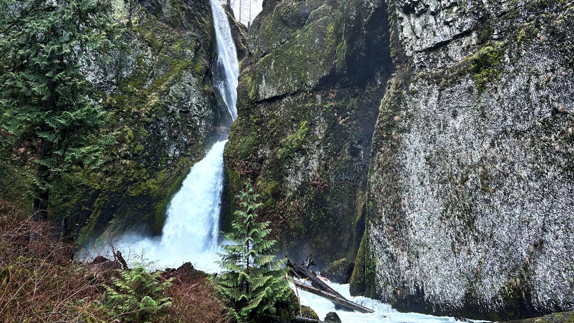 Tall waterfall cascading between moss-covered rocky cliffs into a stream surrounded by evergreen trees.