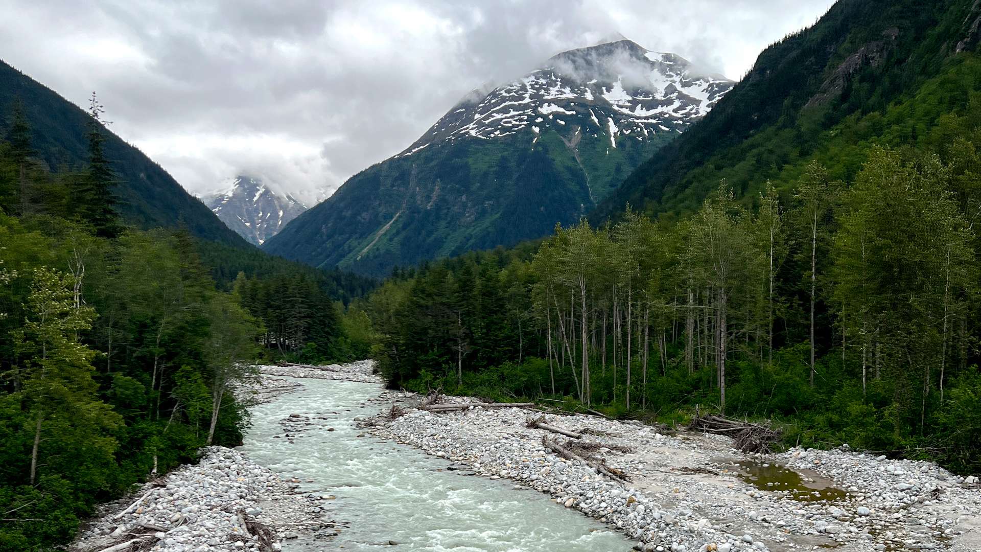 Mountain river flowing through rocky banks with dense green forest and snow-capped peaks under cloudy skies.