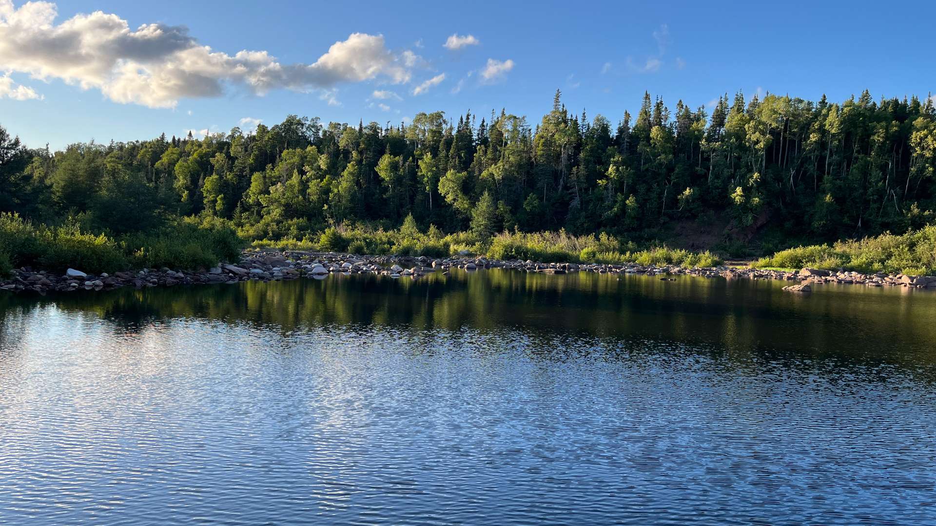 Calm lake surrounded by dense green forest under a clear blue sky with a few scattered clouds.