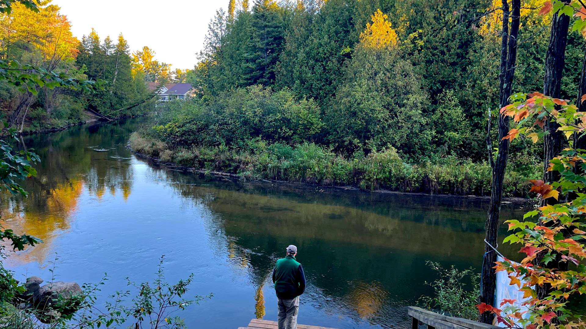 Person standing on a wooden platform overlooking a calm river surrounded by dense green trees with autumn foliage, under clear daylight sky.