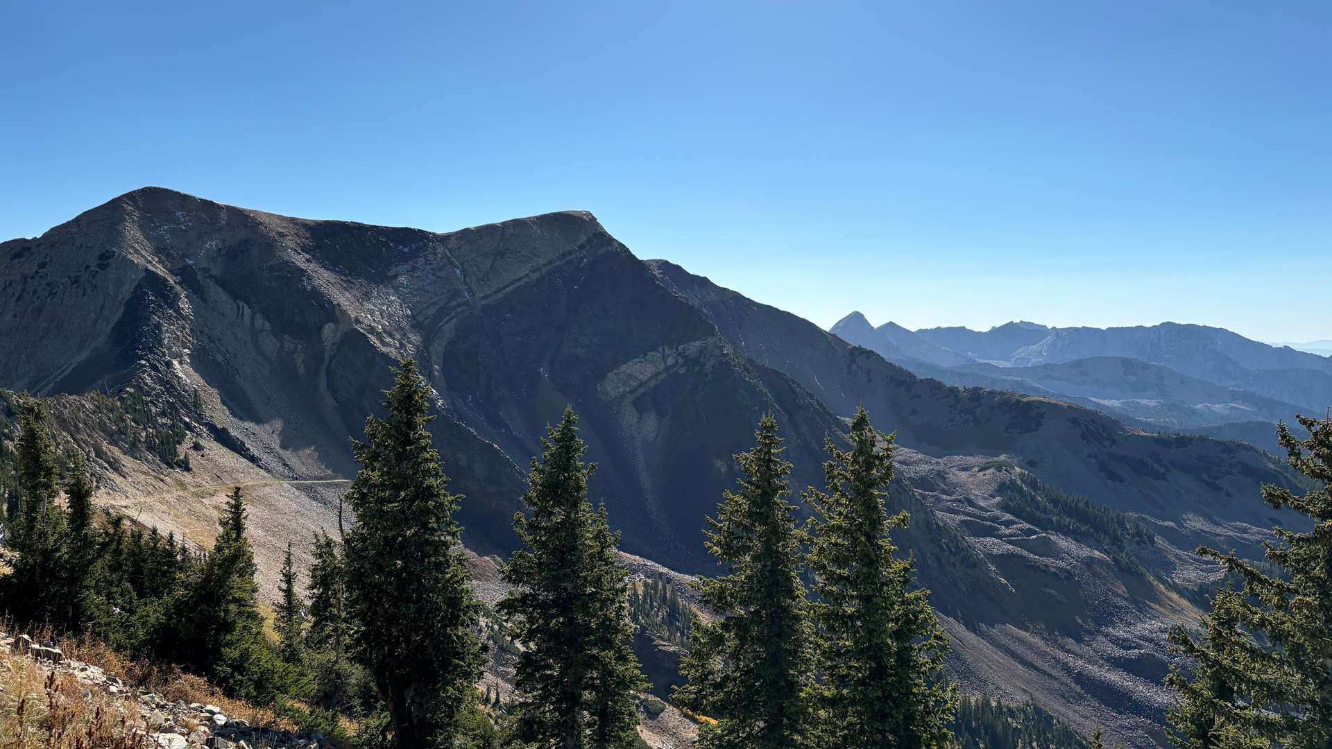 Rocky mountain range under clear blue sky with evergreen trees in the foreground.