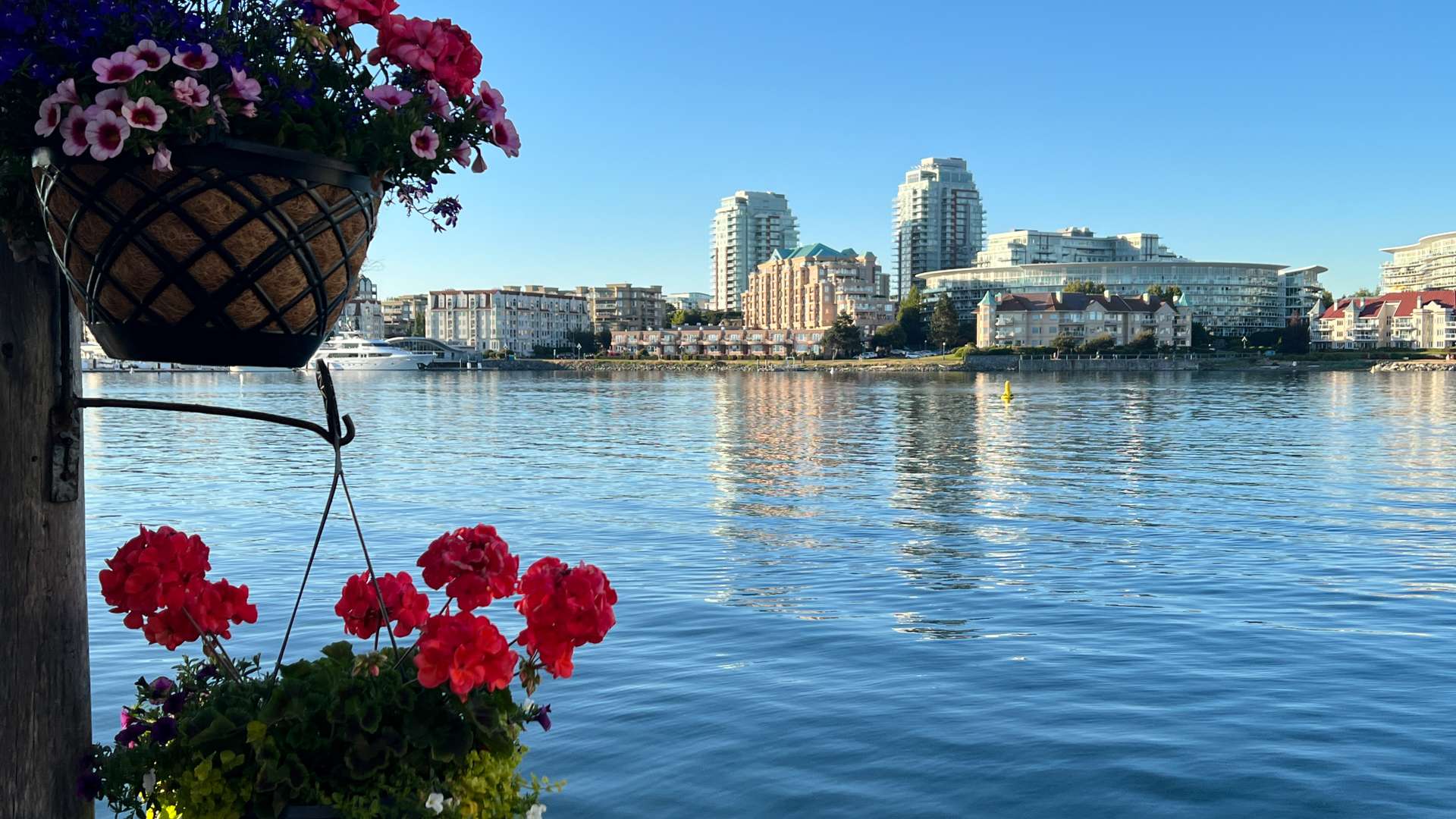 Hanging flower baskets overlooking calm waterfront with modern city buildings under a clear blue sky.