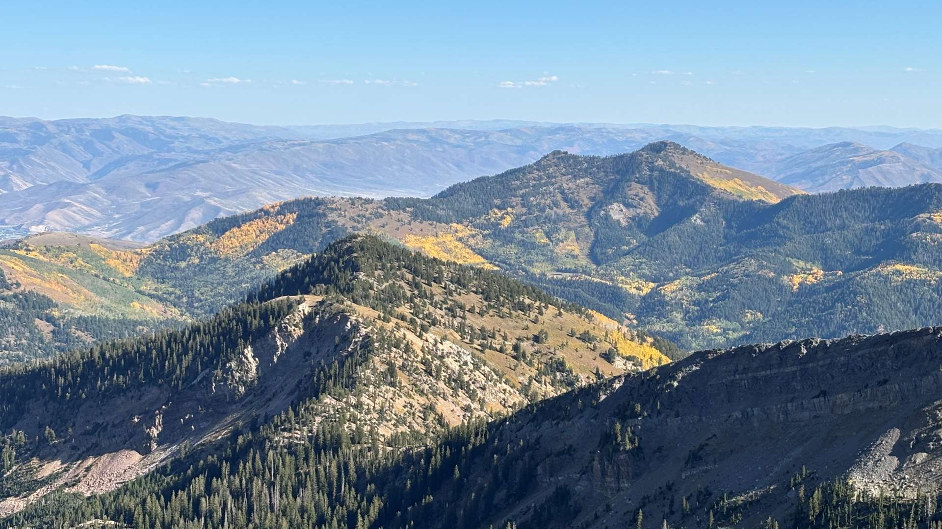 Panoramic view of rugged mountain ranges with dense evergreen forests and patches of golden autumn foliage under a clear blue sky