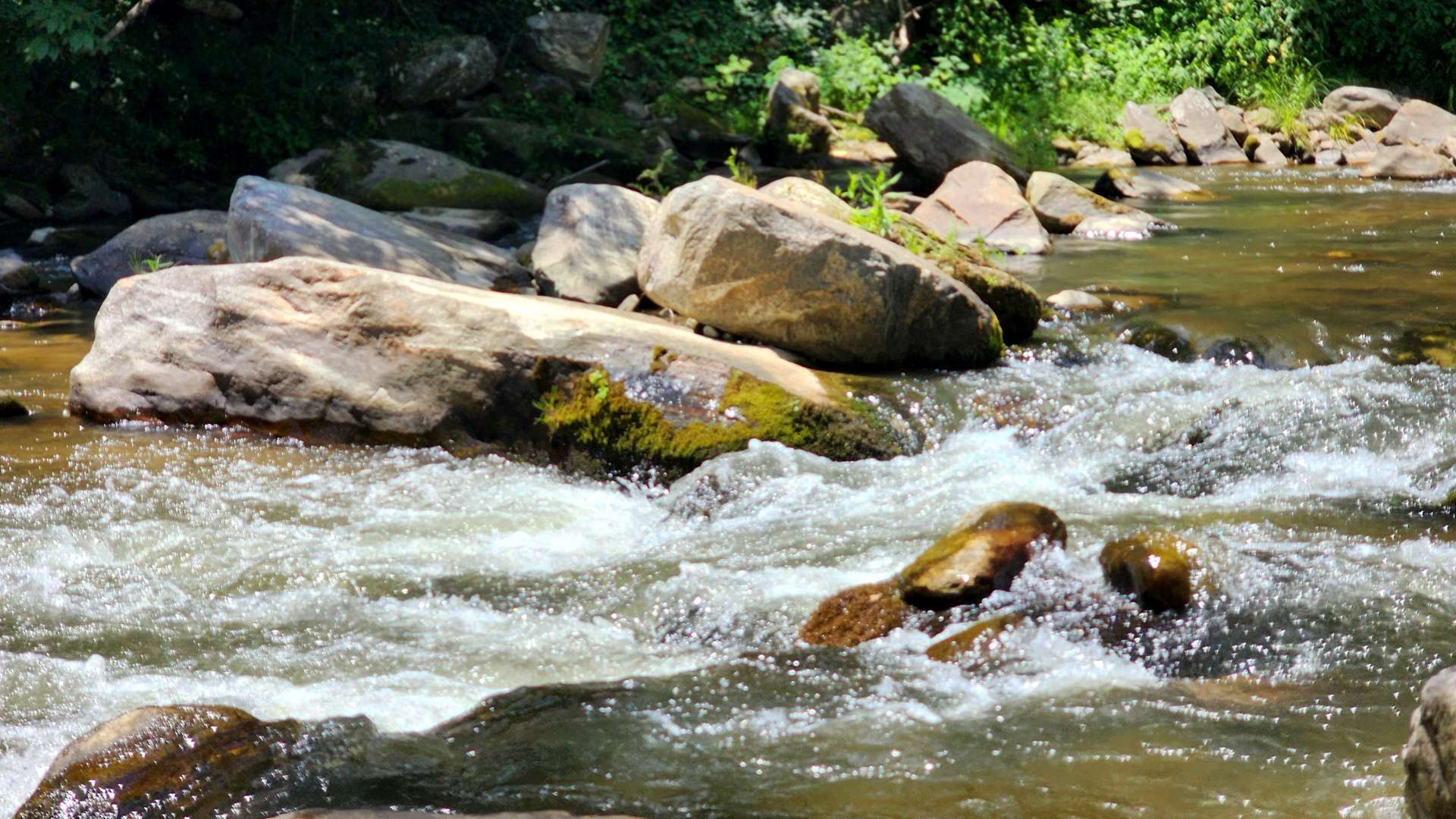 Clear stream flowing over smooth rocks with white water currents surrounded by green vegetation and shaded trees.