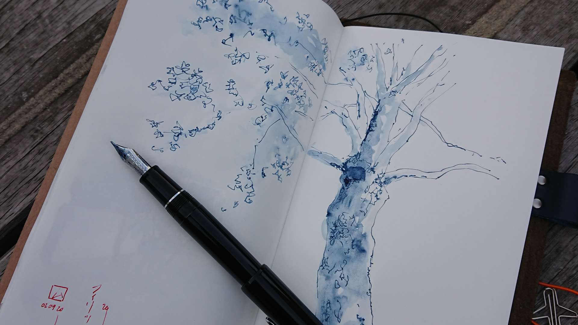   Open sketchbook with blue ink tree drawings and a fountain pen resting on wooden planks.