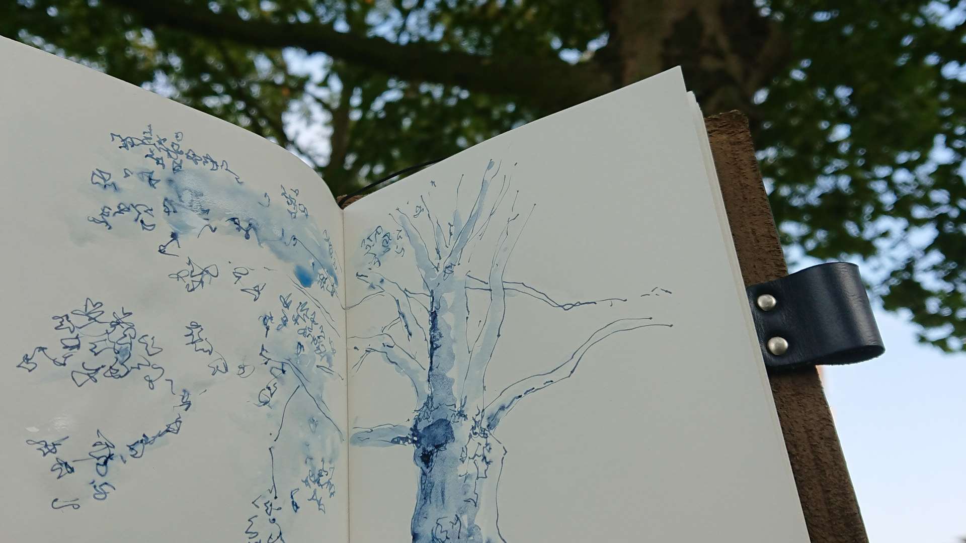  Open sketchbook showing a blue ink tree drawing held up against a real tree with green leaves and blue sky.