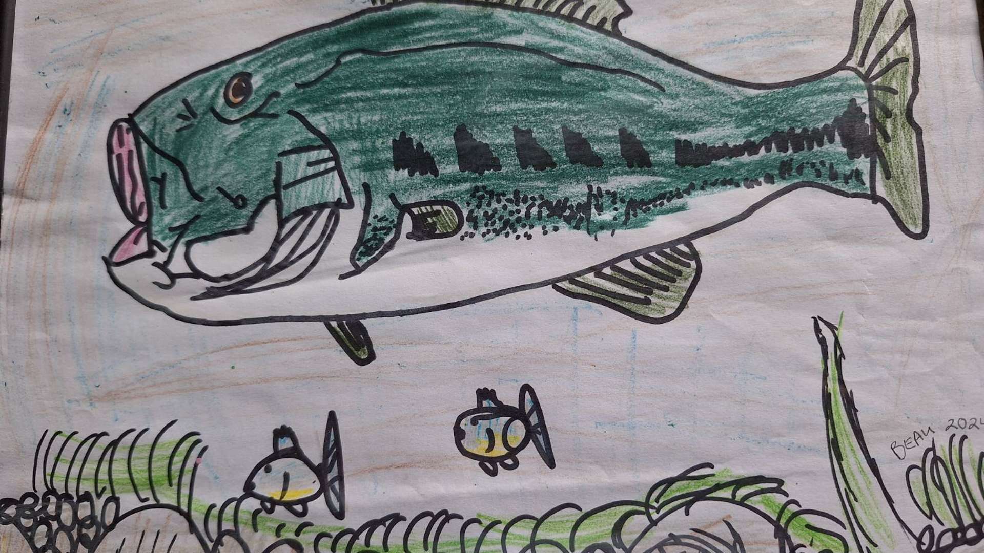   Hand-drawn green fish with black markings swimming above rocks and plants with two smaller fish below.