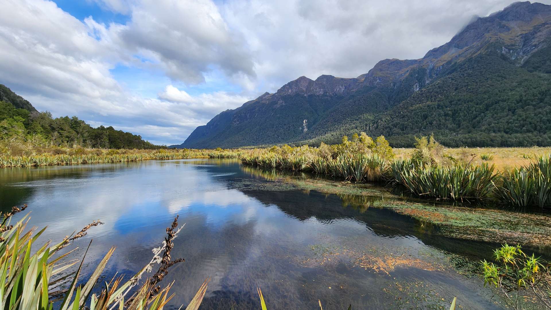   Clear reflective wetland pool surrounded by green reeds and forested mountains under a partly cloudy sky.