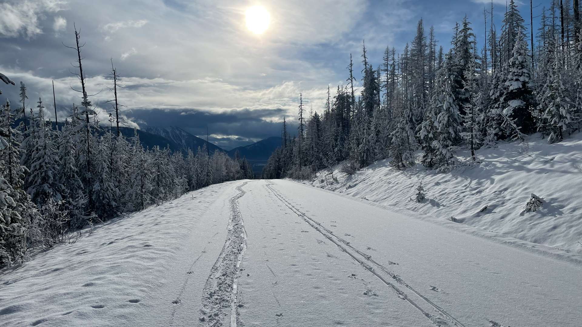 Snow-covered trail through pine forest with mountains in the distance under a bright winter sun.