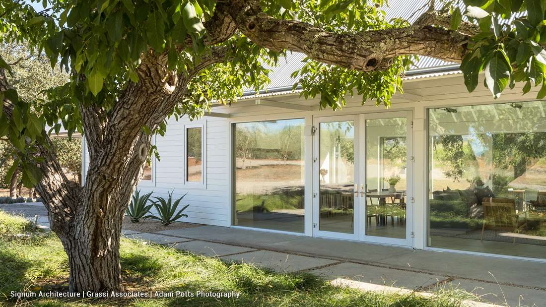 Modern farmhouse exterior with white horizontal siding, large glass French doors, and pitched metal roof, surrounded by mature tree and landscaped yard with agave plants.