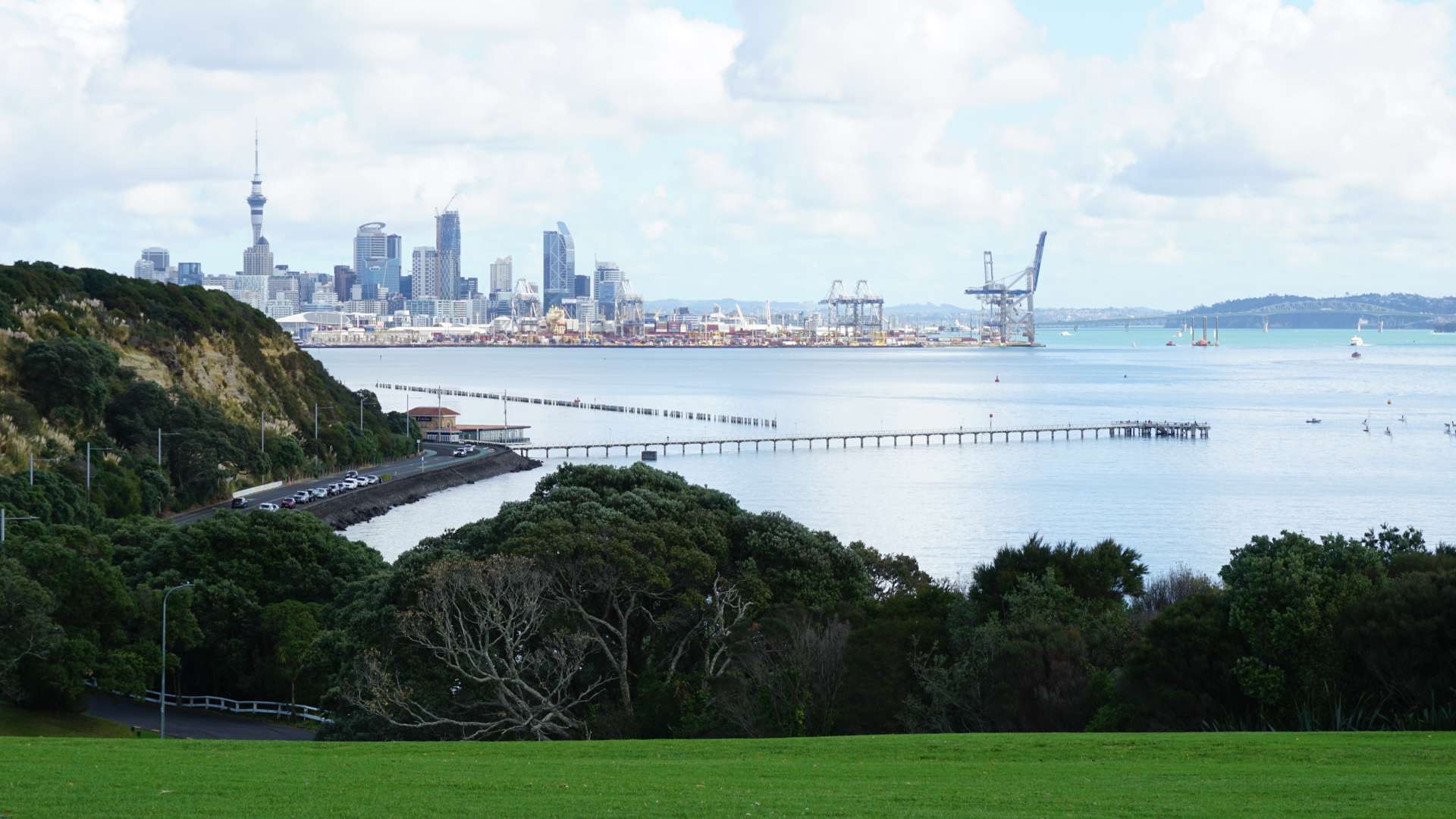 View of Auckland skyline with Sky Tower, harbor cranes, and calm blue water from a grassy hill under cloudy skies.