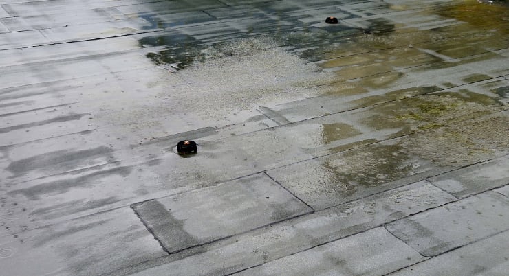 water stagnating on flat roof