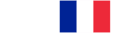 Flag of France, icon