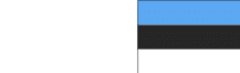 Estonia flag, icon