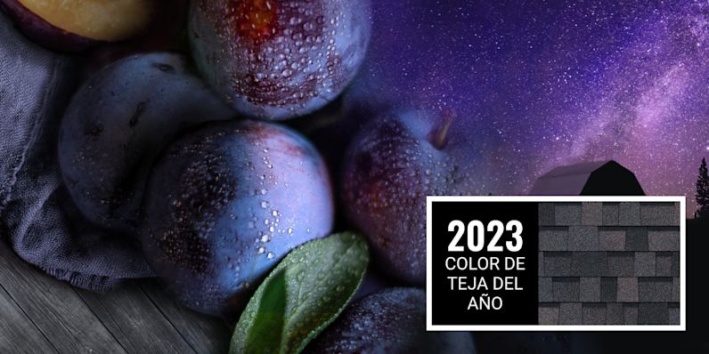 Un montaje de ciruelas y un cielo nocturno de color violeta intenso con el color de tejas del año 2023, Midnight Plum.