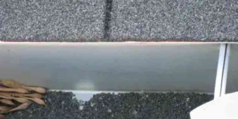 Roof shingle granules in gutter