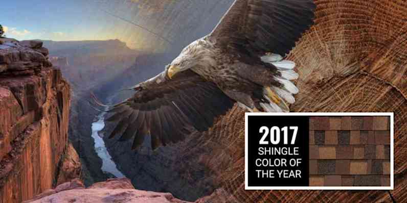 A montage with an eagle in flight up against tree trunk texture, set against a canyon with a river running through it. Featured next to the scene is a swatch of Sedona Canyon shingles, the 2017 Shingle Color of the Year, which combines burnt umber, chestnut and butterscotch hues with a twist of blue.