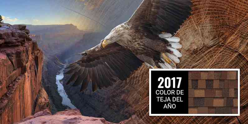 Un montaje que muestra un águila en vuelo superpuesta a la textura de un tronco de árbol, con un cañón y un río que lo atraviesa como telón de fondo. Junto a la imagen se presenta una muestra de tejas en el color «Sedona Canyon» —el color de teja del año 2017—, que combina tonos de sombra tostada, castaño y caramelo con un toque de azul.