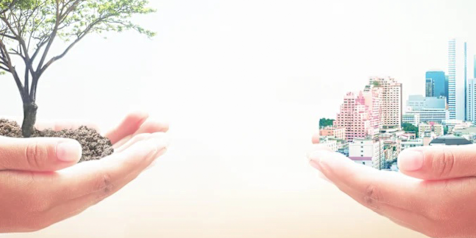 Two sets of hands. One holding a tree and the other holding a cityscape showing the importance of sustainability in urban design.