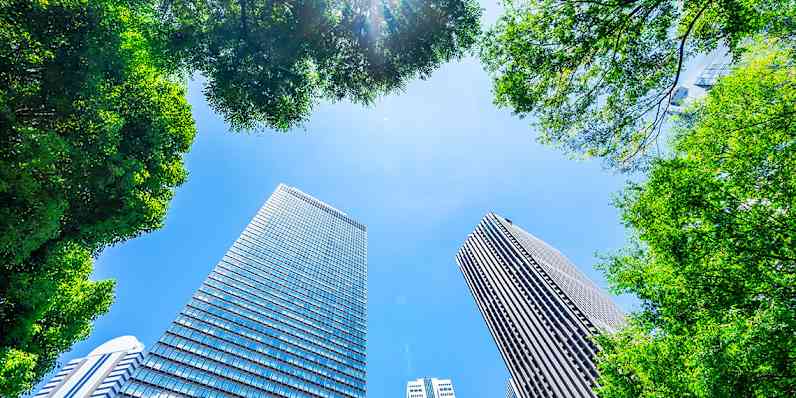 Looking up through trees at clear blue skies in a city