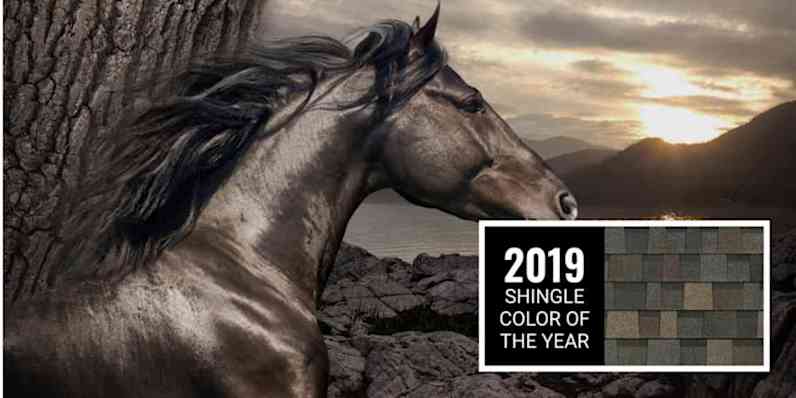 A montage of a horse set against a calm scene of a rocky cliff next to a body of water with mountains in the background. Featured next to the scene is a swatch of Black Sable shingles, the 2019 Shingle Color of the Year, which feature classic black with gray, umber brown and a hint of sable.