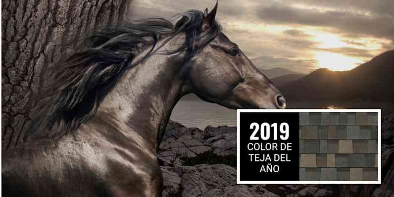 Un montaje que muestra un caballo sobre el fondo de una escena serena: un acantilado rocoso junto a una masa de agua y montañas al fondo. Junto a la imagen se presenta una muestra de tejas en el color «Black Sable» —el color de teja del año 2019—, que combina un negro clásico con tonos gris, marrón sombra y un matiz de color marta (sable).