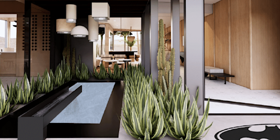 Modern interior courtyard featuring a sleek black reflecting pool surrounded by tall green succulents and cacti, with pendant lighting overhead and open-concept spaces showcasing natural wood walls and minimalist design.
